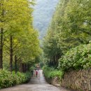 소루지 공원 이미지