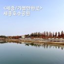 호수공원 수상무대섬 화장실 | 세종호수공원 단풍 세종 가볼만한곳 국내최대 인공호수 산책로 걷기
