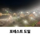 도일 | [평택 캠핑 맛집] 브레인시티쪽에 있는, 분위기 최고인 포레스트 도일 재방문한 후기