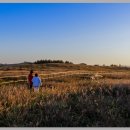 동거목장 이미지