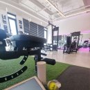 Happy body gym 이미지