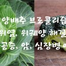 동양건강원