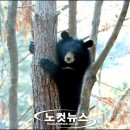 꿀꺽 이미지