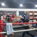 와룡복싱 이미지