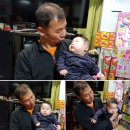 이진수목장 Daum카페
