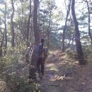 오르다 보면 이미지