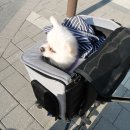 로얄세탁소 이미지