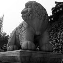 천록산업 | 근정전 월대의 석견(石犬)과 경복궁 다른 석수상의 비교