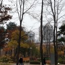 송전병설유치원 이미지