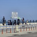 송도해수욕장 입구 삼거리 이미지