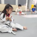 하늘예 태권도 이미지