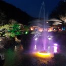 용인나무이야기