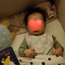 대빵놀이터 이미지