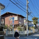 다보약국 | [ Archive ] Tokyo 下, 2026