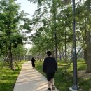 청은공원 이미지