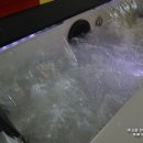 자라스파펜션 이미지