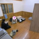 순정민박 이미지