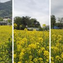 주촌 - 서산시 | 주촌
