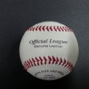 크레이지베이스볼 이미지