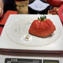 장희농장 이미지