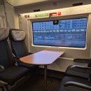 예술인기살리기<대중음악2> | 동유럽여행 [251223~260105] Day3 : 오스트리아 빈 시청사 크리스마스마켓 아이스링크