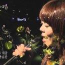 11월13일 목요일 출석부 (Stardust - W &amp; Whale) 이미지