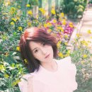 예인엔터테인먼트 이미지