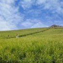 천북농장 이미지