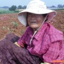 창대농장 이미지