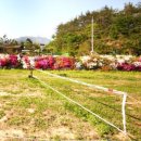 청산한옥계곡펜션 이미지