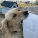 페리아902오션뷰스파펜션 이미지