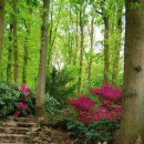 나의 정원 이미지