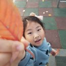 오라초등학교 병설유치원 이미지