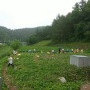 영운농장 이미지