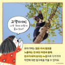 자연책사랑 이미지