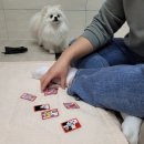 문어삼춘 이미지