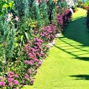 바다정원 이미지