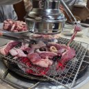 시골촌닭구이 | 어튈라 춘천 촌닭집 오리구이 맛집 방문 후기