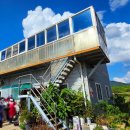 전남권환경성질환예방관리센터 | 운해다원/대한다원 보성녹차밭/열선루 공원/전남권 환경성질환 예방관리센터/고을농장 단감 따기 체험