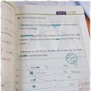 지축중학교 | 지축영어학원 더퀸즈 국제영어학원에 대한 솔직한 후기