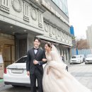 김호창 카카오 검색결과