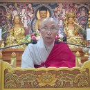 주중 특별법문(6월 10일, 수요일) 이미지