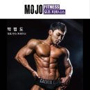 모조 이미지