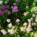 상거석마을회관 이미지