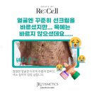 제이케이리셀