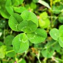 풍경화그리기 이미지