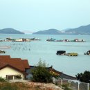 월등도민박 이미지