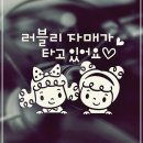 4995 쇼핑하우