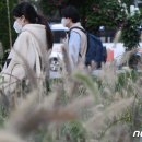 낮&밤 이미지