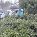 신효동-21 이미지